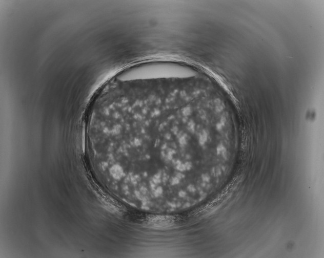 X0000098011171200804251108