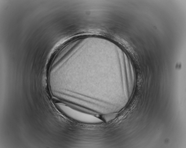 X0000098011172200804251108