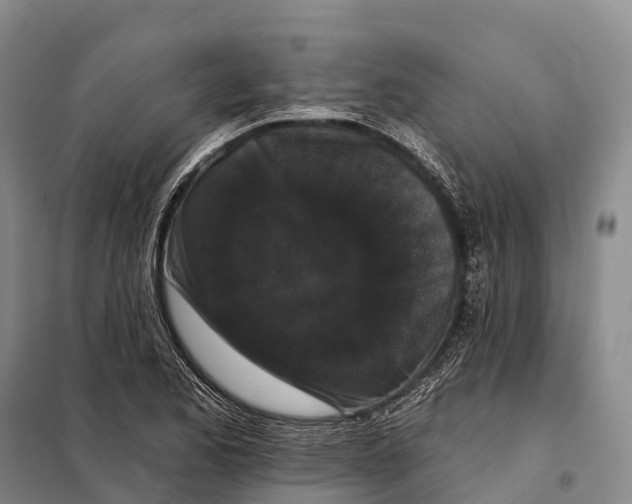 X0000098011173200804251108