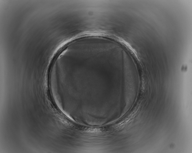 X0000098011174200804251108