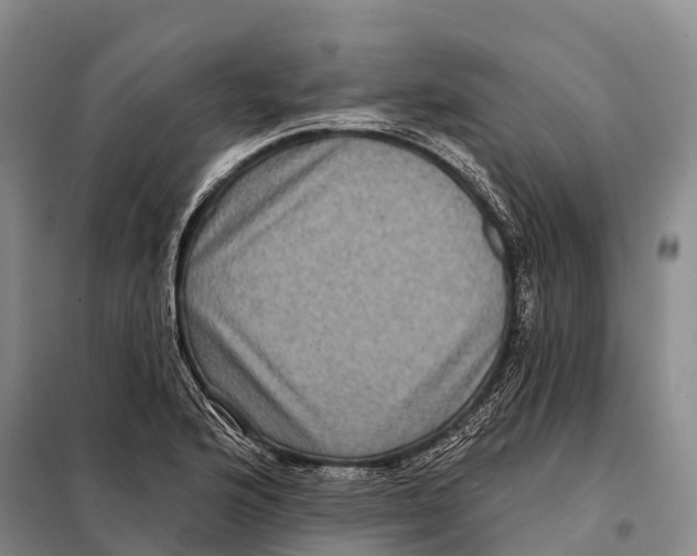 X0000098011176200804251108