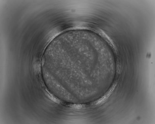 X0000098011177200804251108