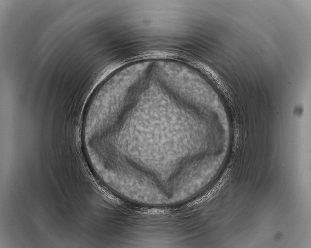 X0000098011178200804251108