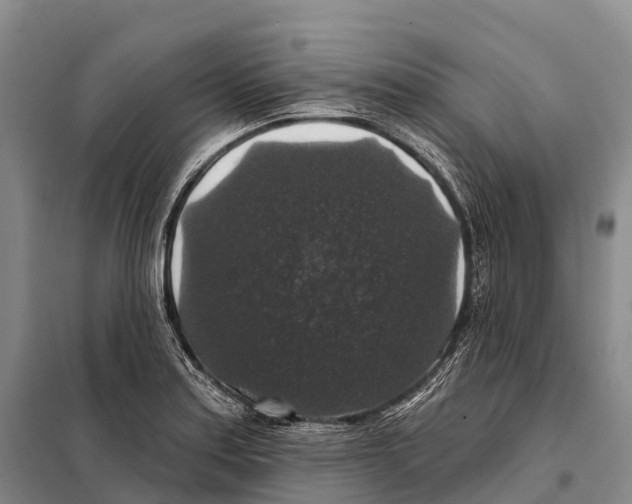 X0000098011179200804251108