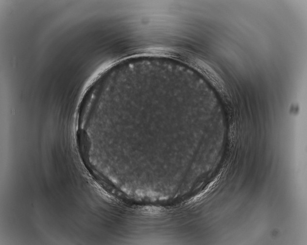 X0000098011180200804251108