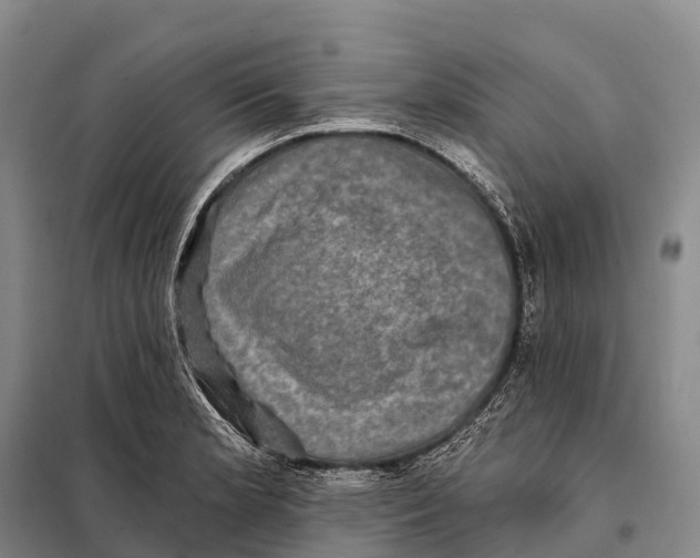 X0000098011181200804251108