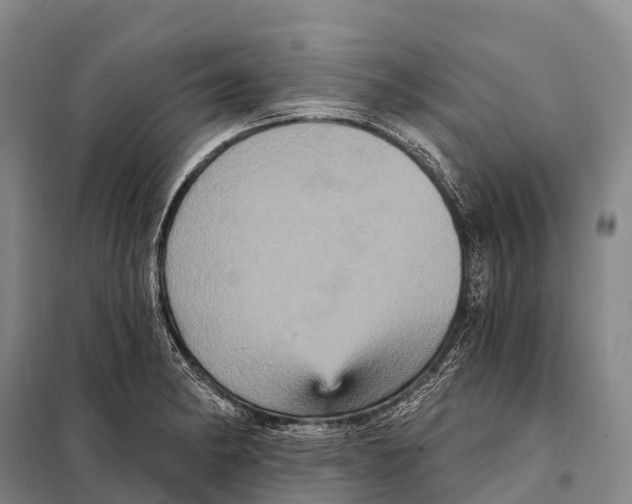 X0000098011182200804251108