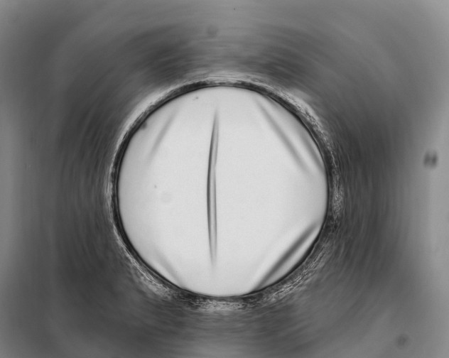 X0000098011183200804251107