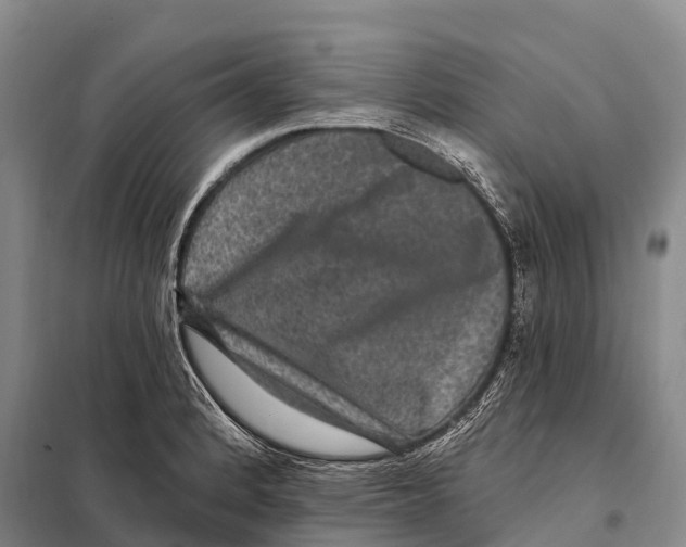 X0000098011184200804251107