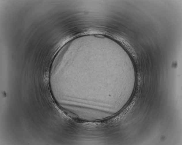 X0000098011185200804251107