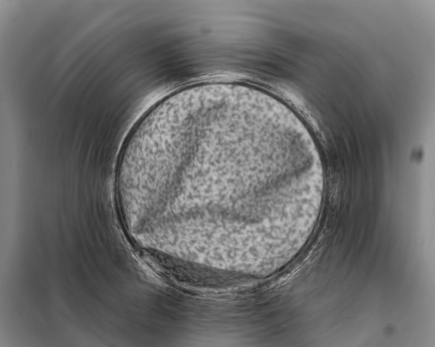 X0000098011186200804251107