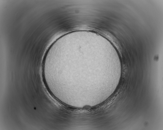 X0000098011187200804251107