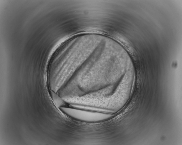 X0000098011188200804251107