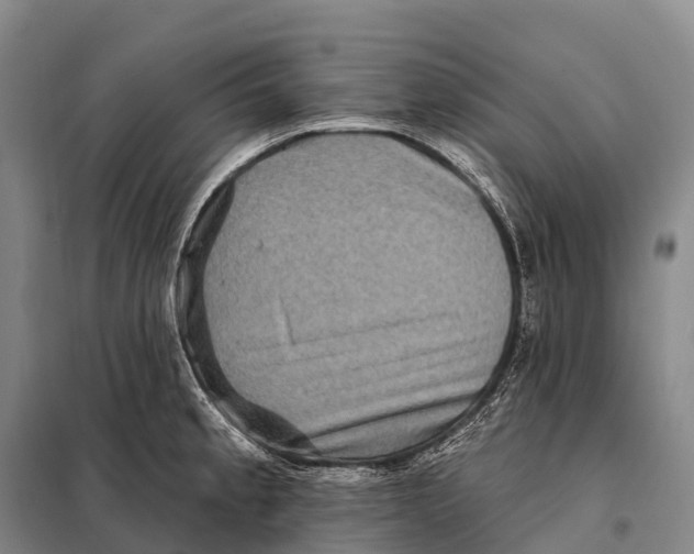 X0000098011189200804251107