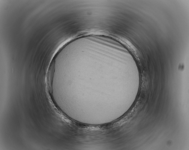 X0000098011190200804251107