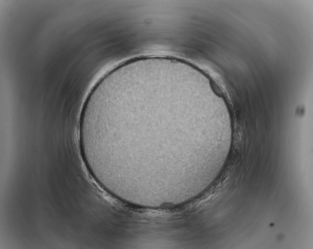 X0000098011191200804251107