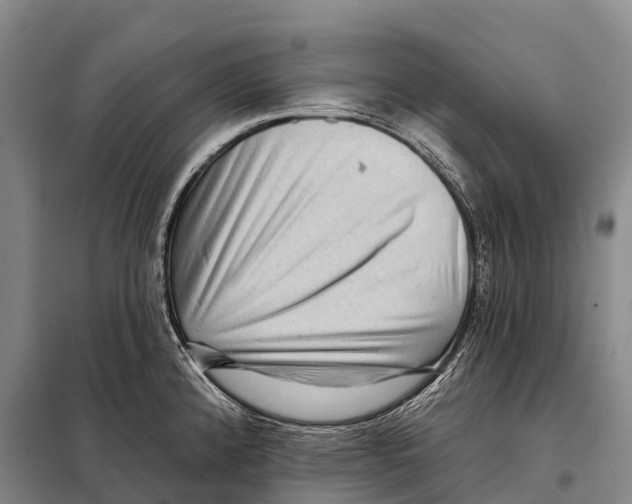 X0000098011192200804251107