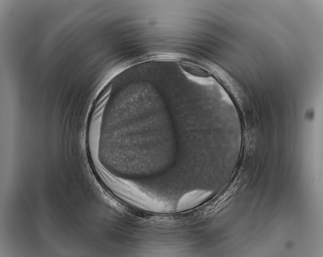 X0000098011194200804251107