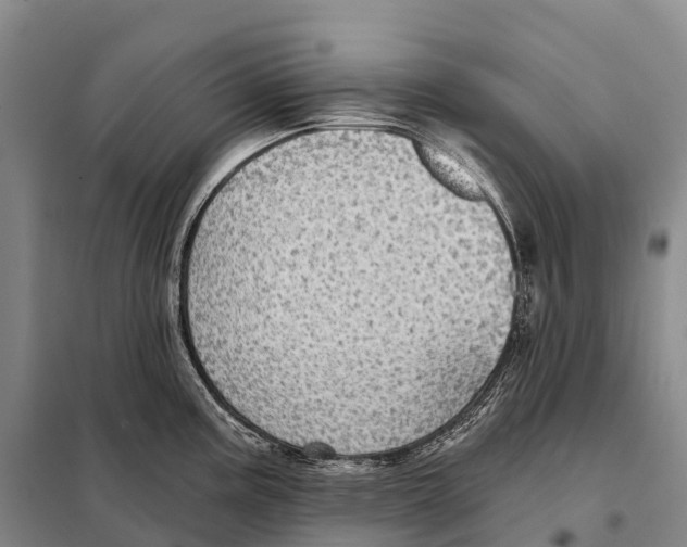 X0000098011195200804251107