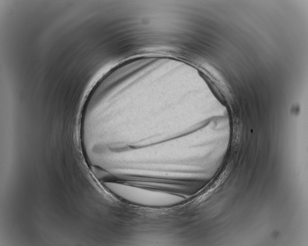 X0000098011196200804251107