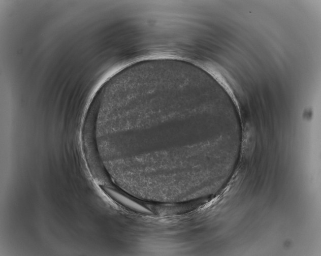 X0000098011197200804251107