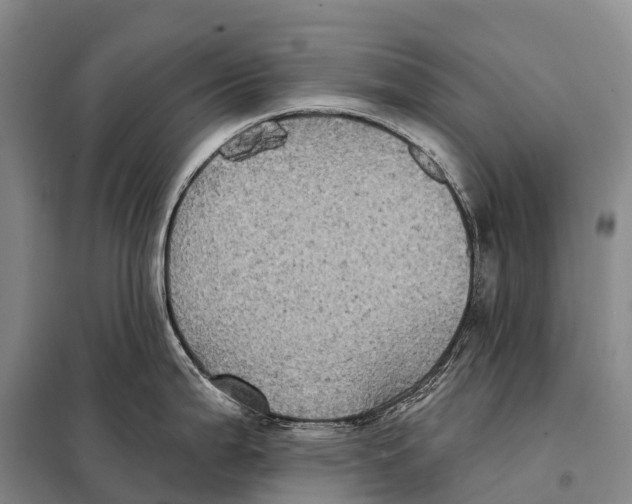 X0000098011199200804251107