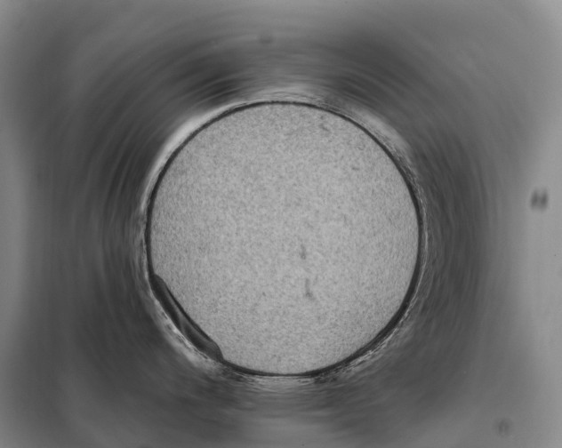 X0000098011200200804251107