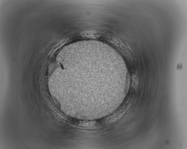 X0000098011201200804251106