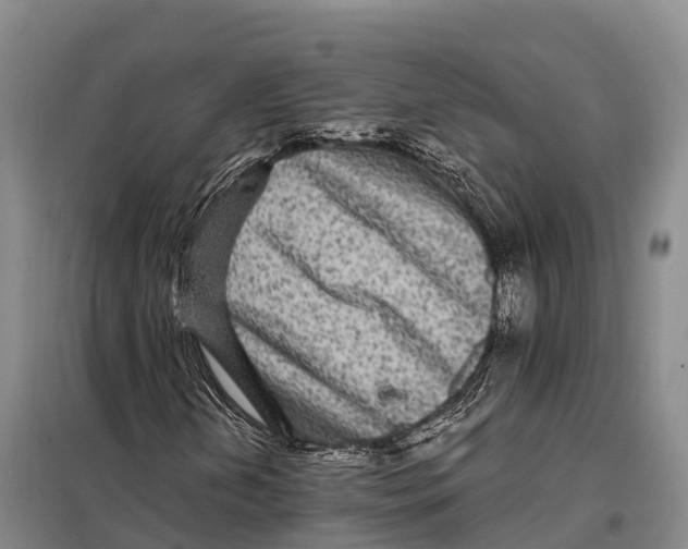 X0000098011202200804251106