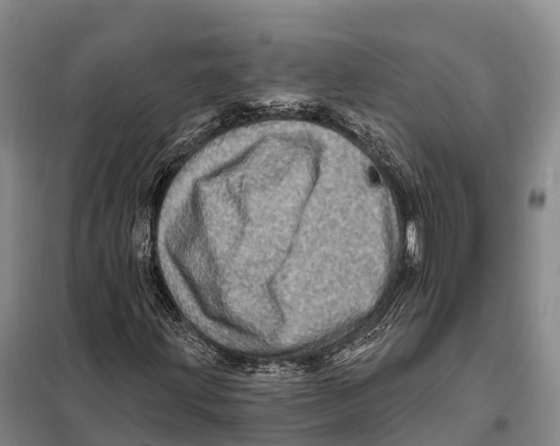 X0000098011203200804251106