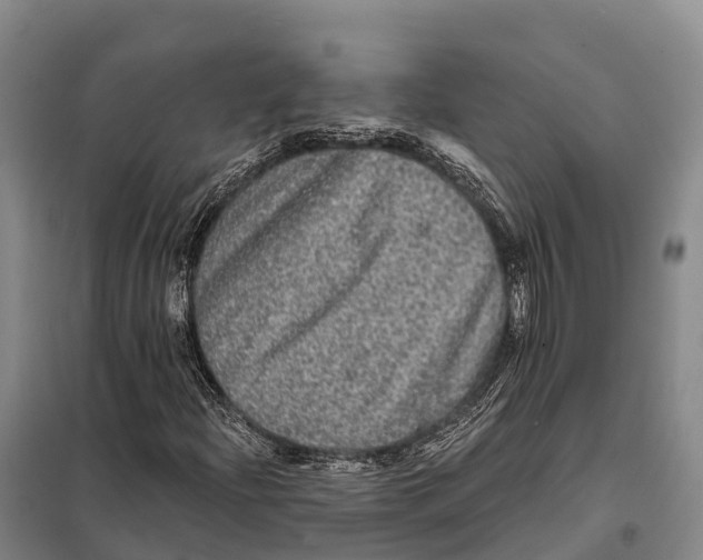 X0000098011204200804251106