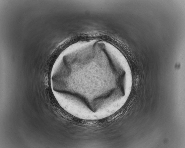 X0000098011205200804251106