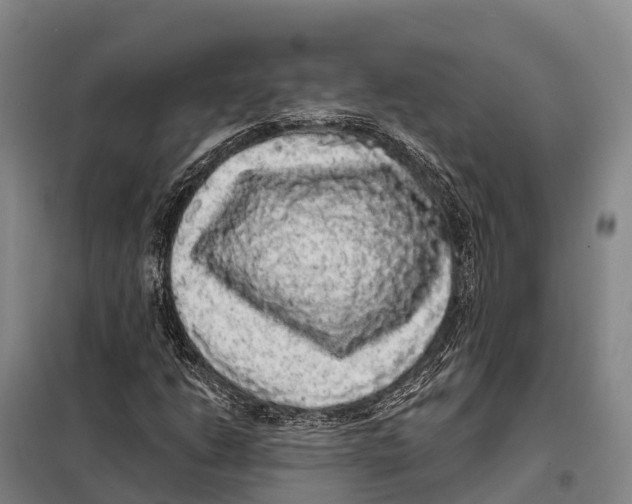 X0000098011206200804251106