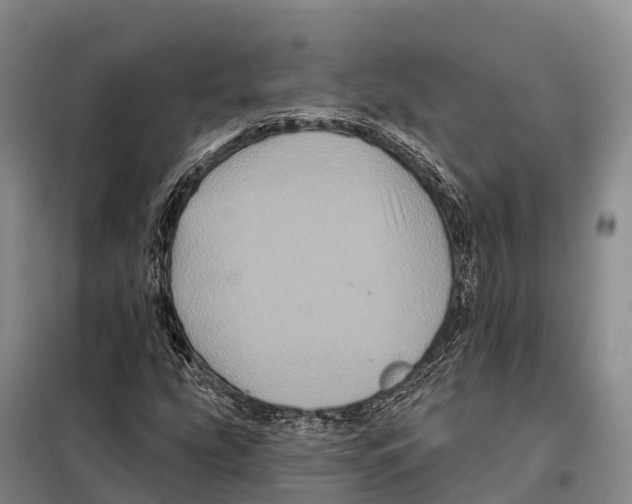 X0000098011207200804251106