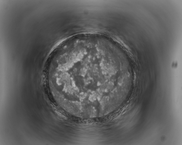 X0000098011208200804251106