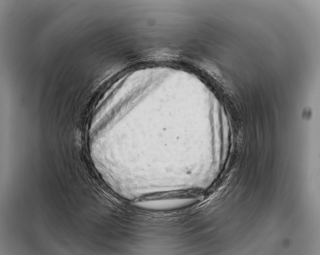 X0000098011209200804251107