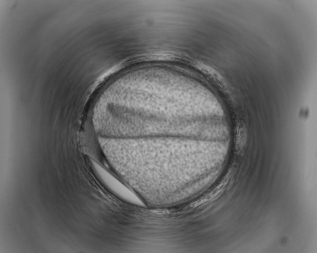 X0000098011210200804251107