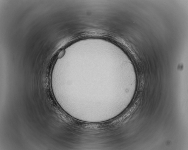 X0000098011211200804251107