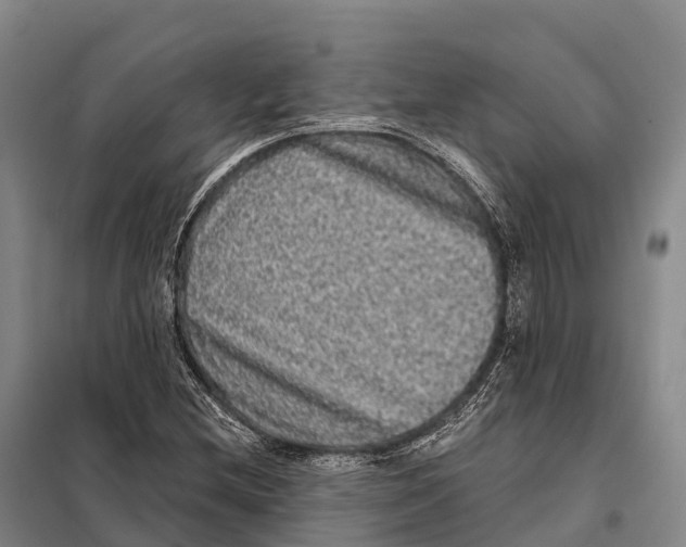 X0000098011212200804251107