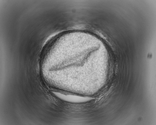 X0000098011214200804251107