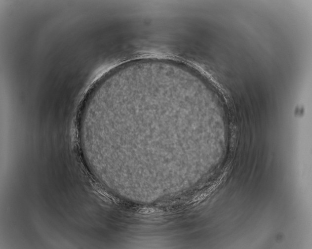 X0000098011215200804251107