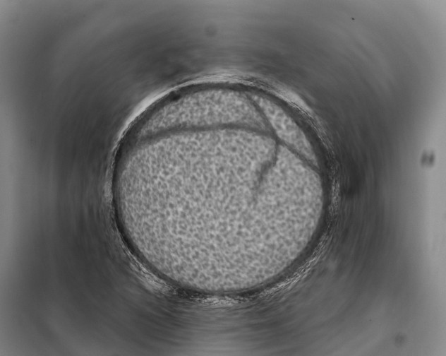 X0000098011216200804251107