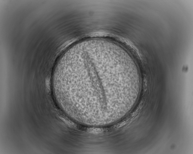 X0000098011217200804251107