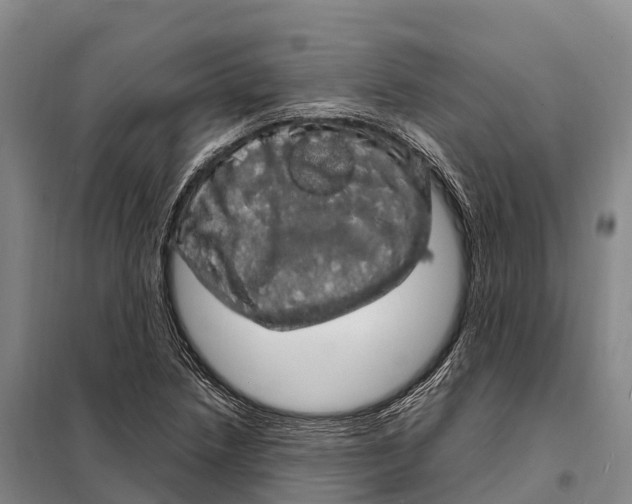 X0000098011218200804251107