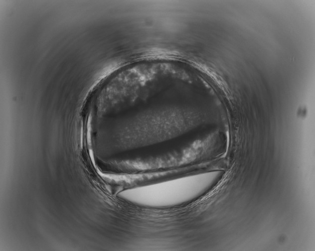 X0000098011219200804251107