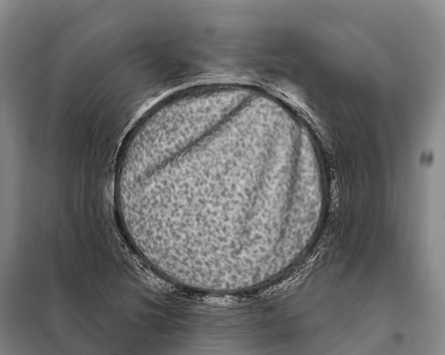 X0000098011220200804251107