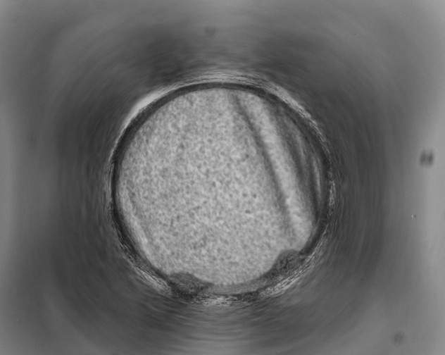 X0000098011222200804251107