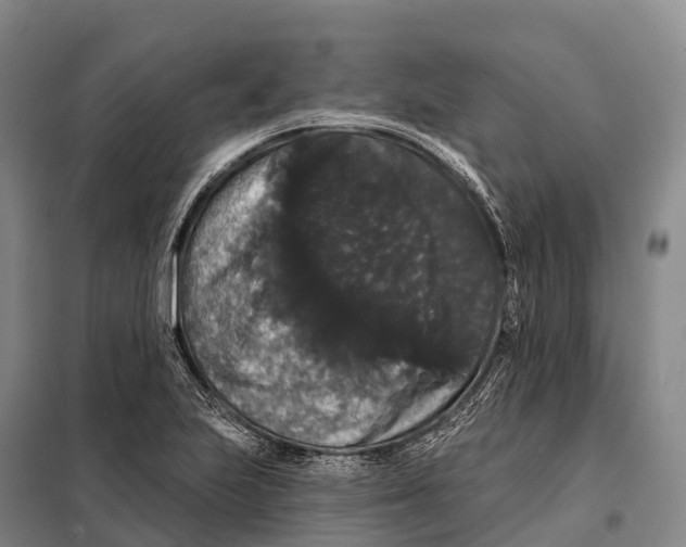 X0000098011223200804251107