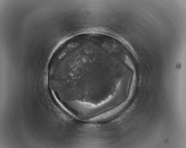 X0000098011224200804251107