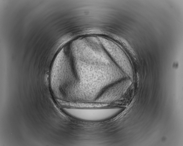 X0000098011225200804251107